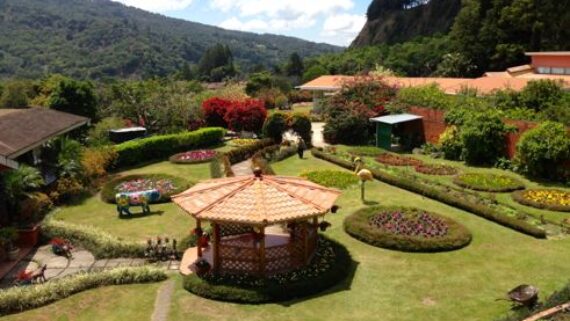 Mi Jardin es Tu Jardin