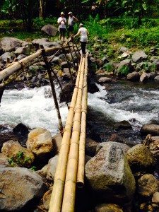 bamboobridge